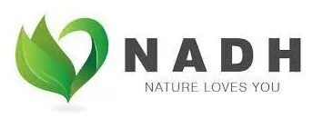 Nadh Italia